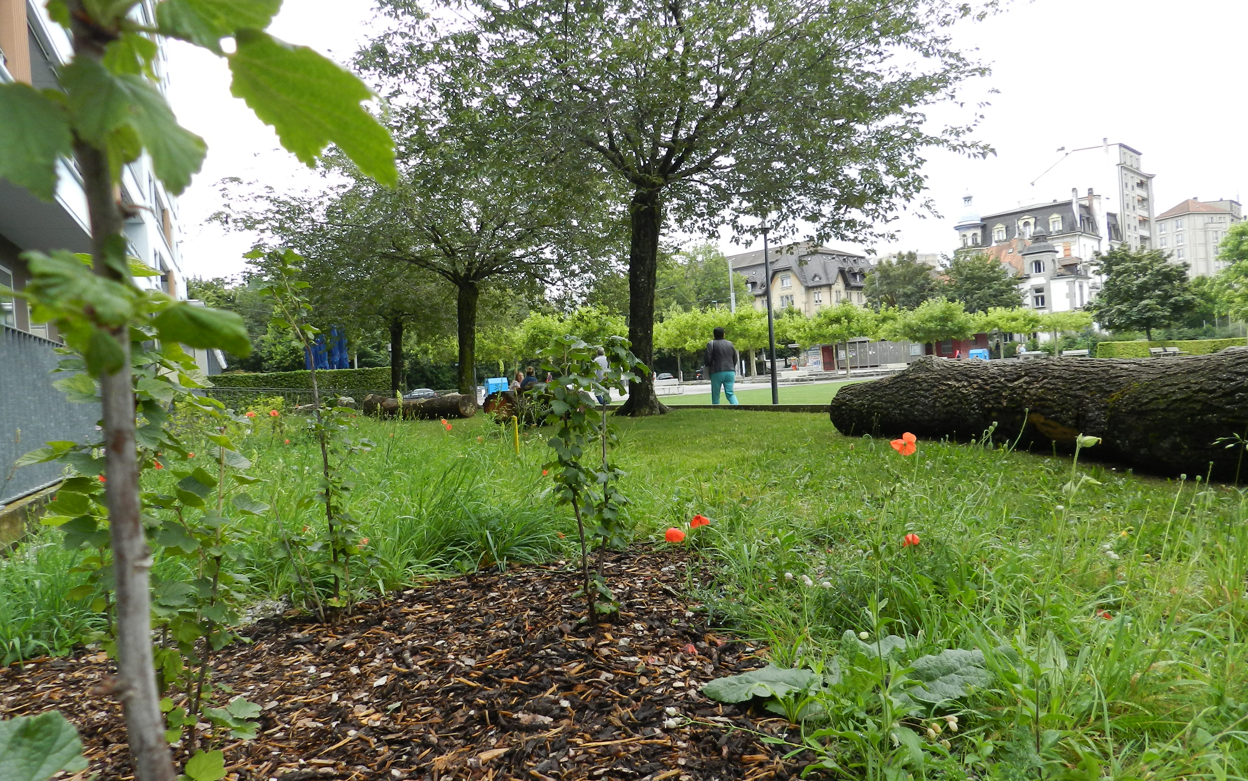 Parc du Domino, Freiburg.